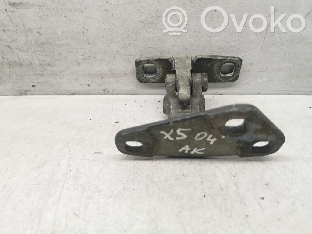BMW X5 E53 Tailgate/trunk/boot hinge 
