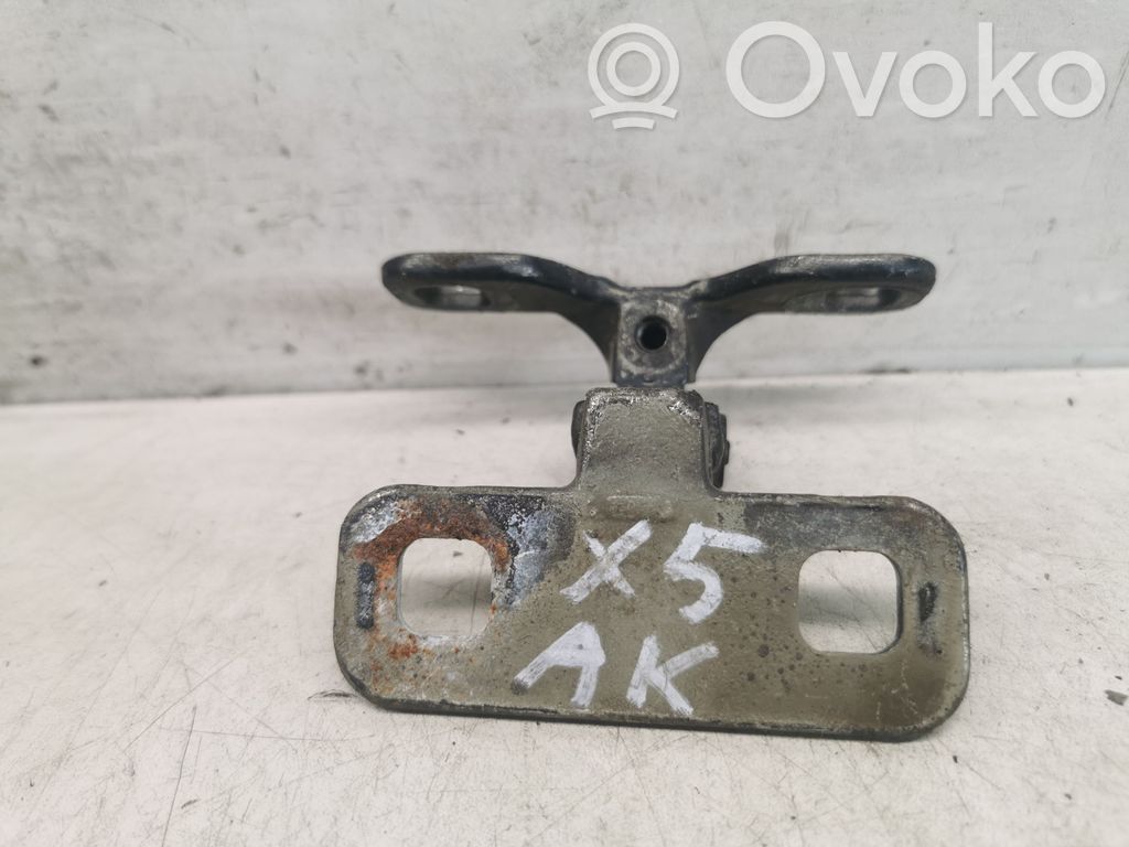 Tailgate/trunk/boot hinge   82476678