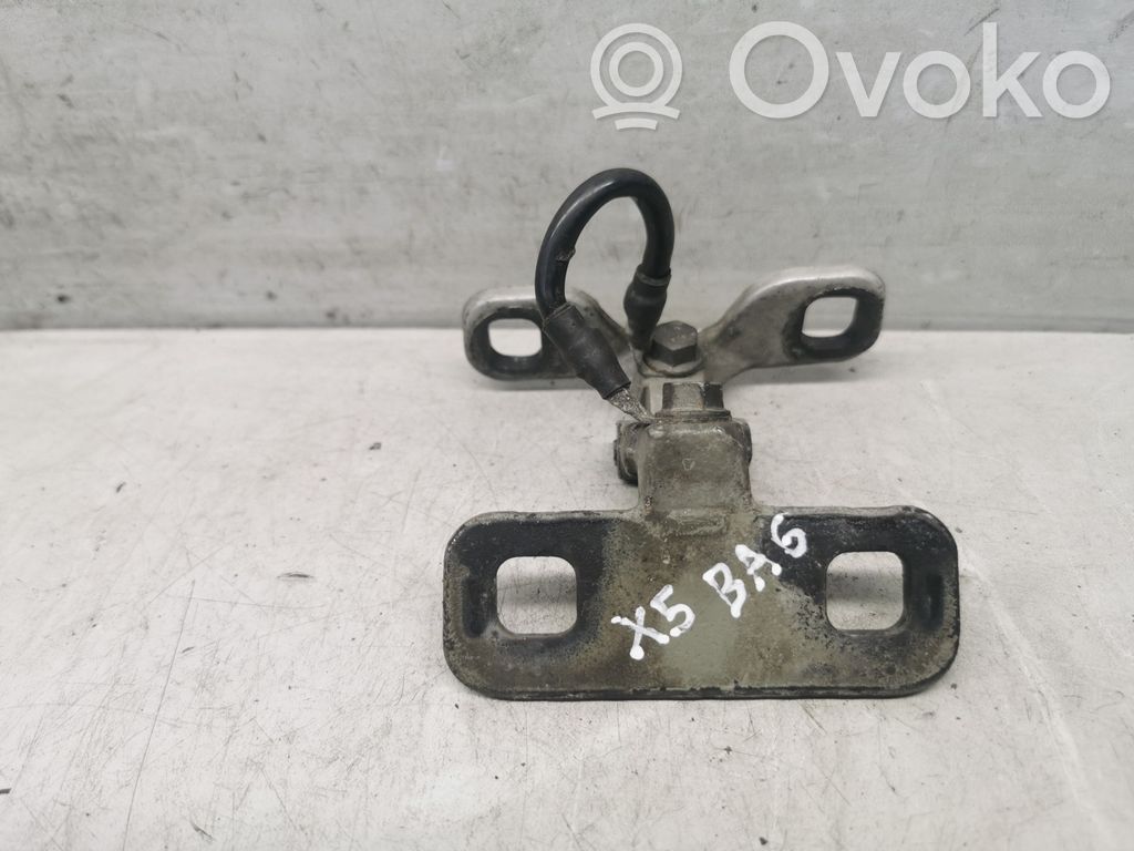BMW X5 E53 Tailgate/trunk/boot hinge 