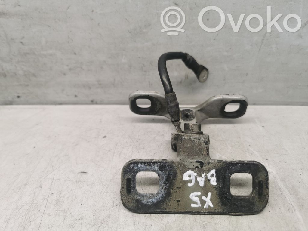 BMW X5 E53 Tailgate/trunk/boot hinge 