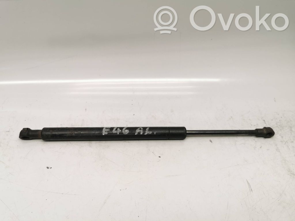 Tailgate/trunk strut/damper   51246254281