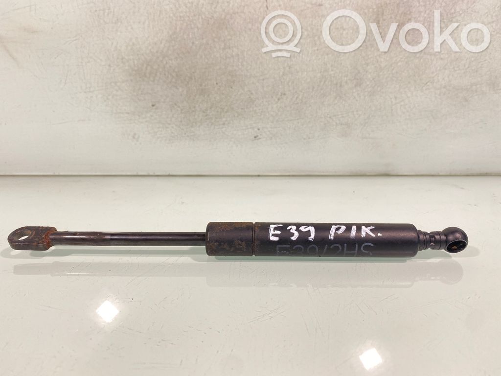 Tailgate/trunk strut/damper   8190688