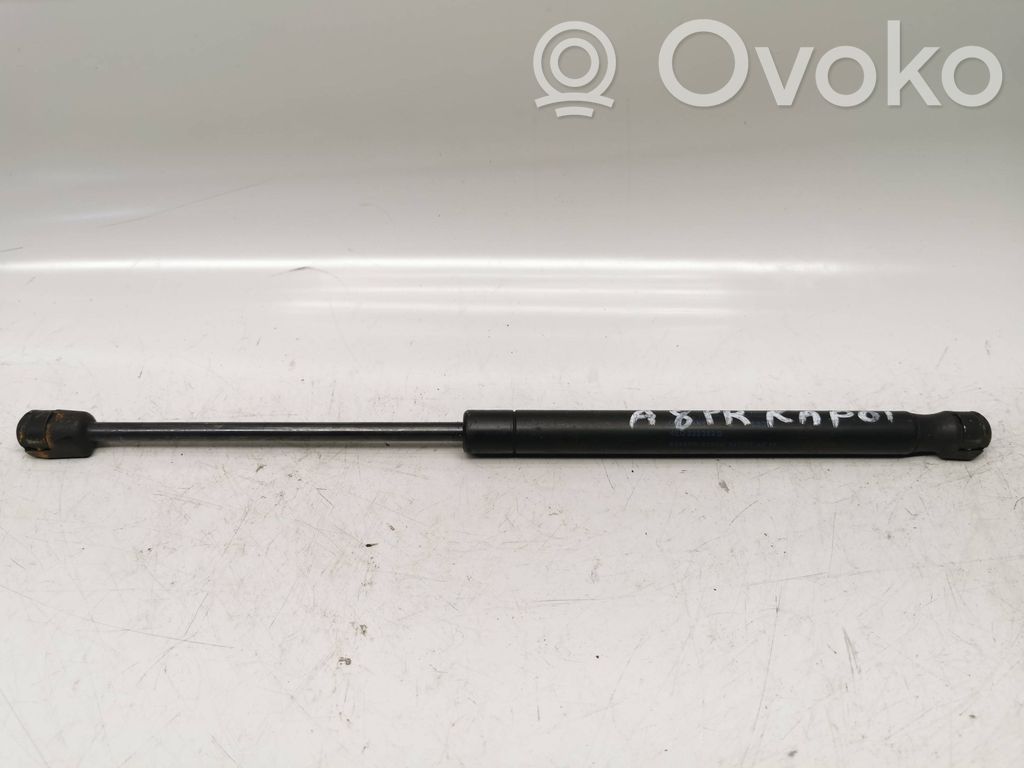 Audi A8 S8 D3 4E Dzinēja pārsega eņģe (-es) 