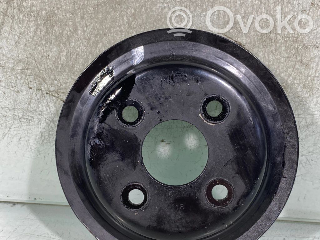 Mitsubishi Outlander Vandens pompos skriemulys 