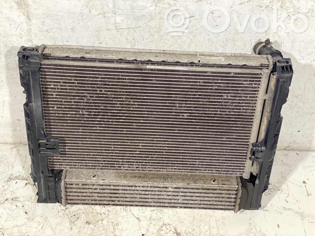 Radiatora komplekts   9229021,17107524912,4274086,64509169789,64536930039,6453693009,64539169526,64539206296,64539229021,6930039,693009,9169526,9169789,9206296