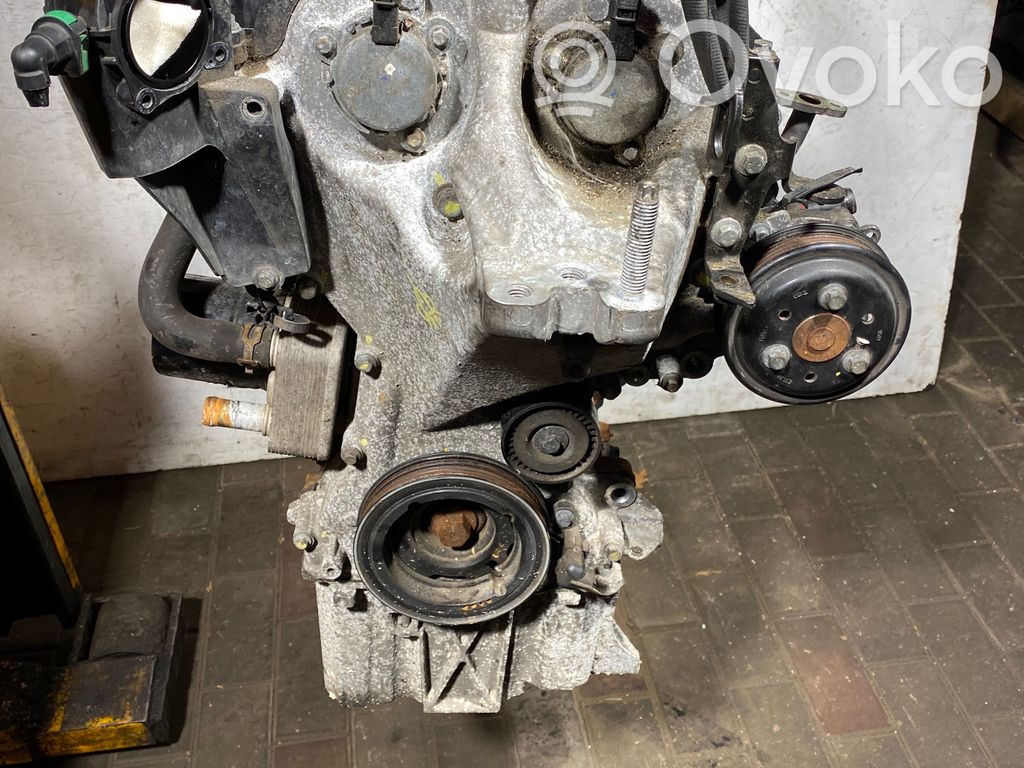 Ford Focus Variklis 