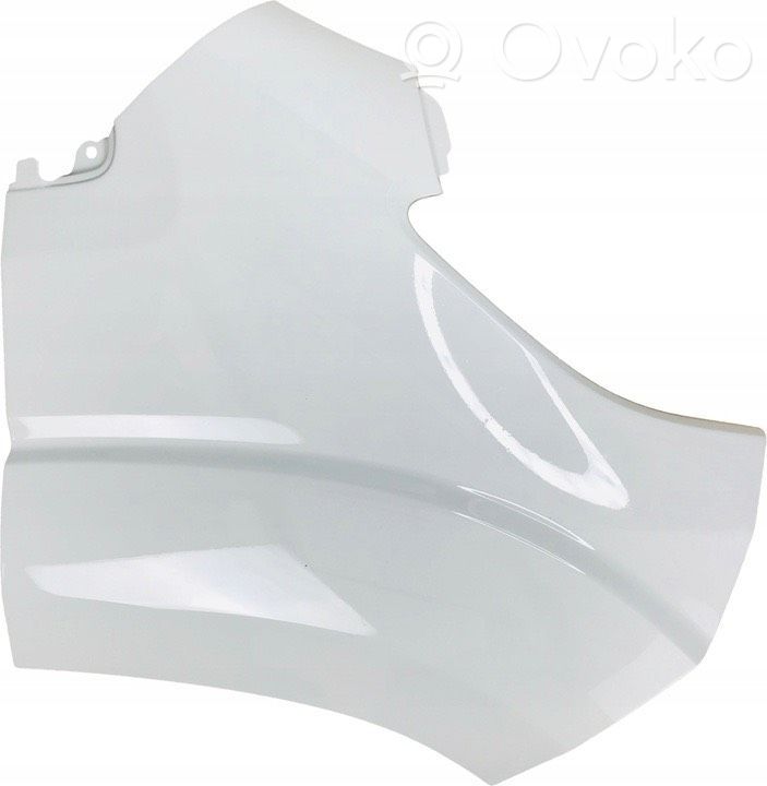 Fiat Ducato Fender 