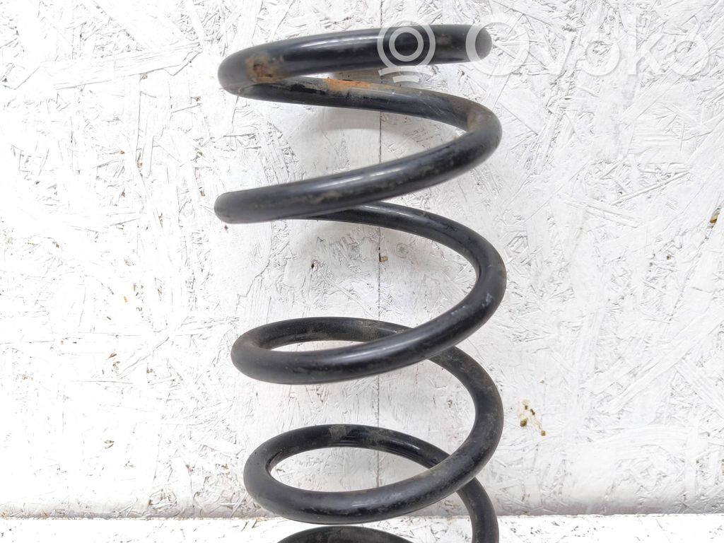 Rear coil spring