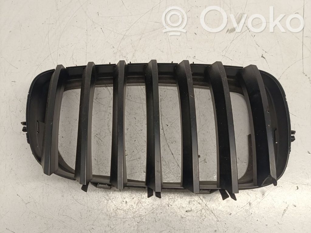 BMW X5 E70 Front bumper upper radiator grill 