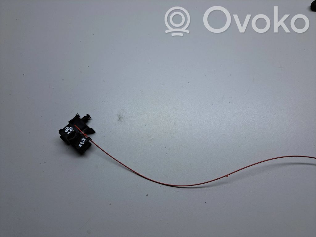 Audi A4 S4 B8 8K Degalų bako dangtelio spynos varikliukas 