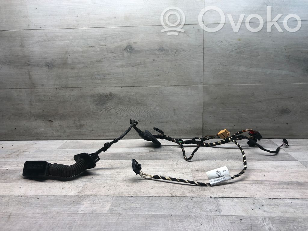Volkswagen PASSAT B8 Wiązka przewodów drzwi tylnych 