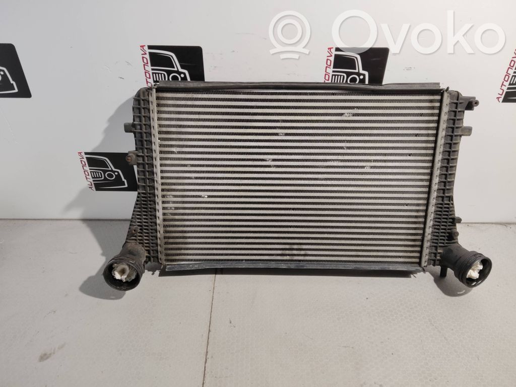 Volkswagen Golf VI Radiatore intercooler 