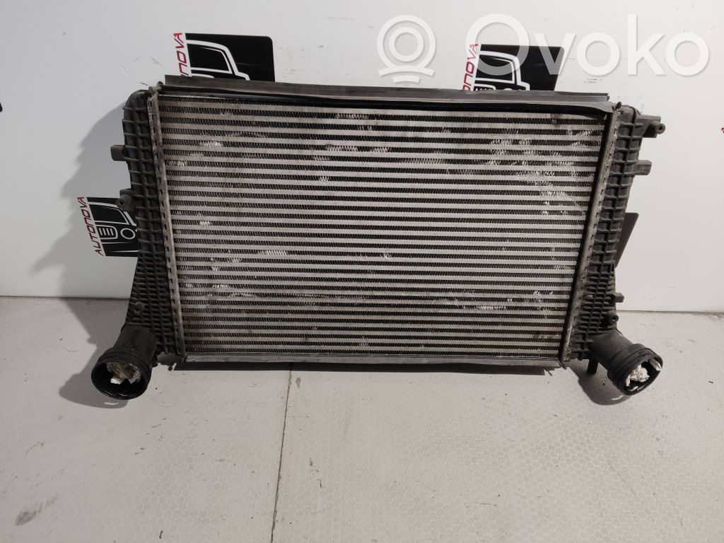 Volkswagen Golf Plus Radiatore intercooler 