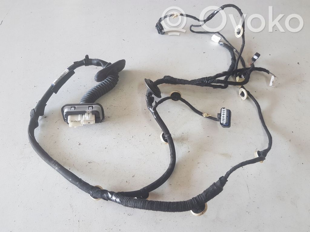 Cableado de puerta trasera   241274434R