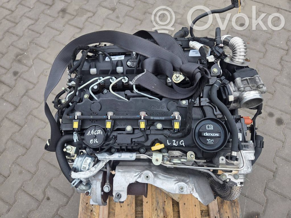 Engine   B16DTE,LWQ