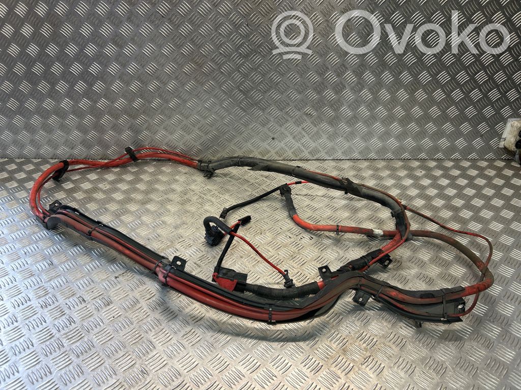 Plusa vads (akumulatora)   9218612
