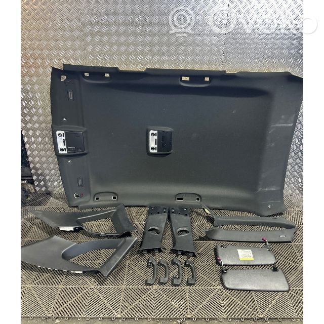BMW X1 E84 Headlining set 