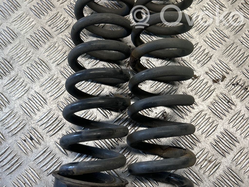 Muelle espiral trasero