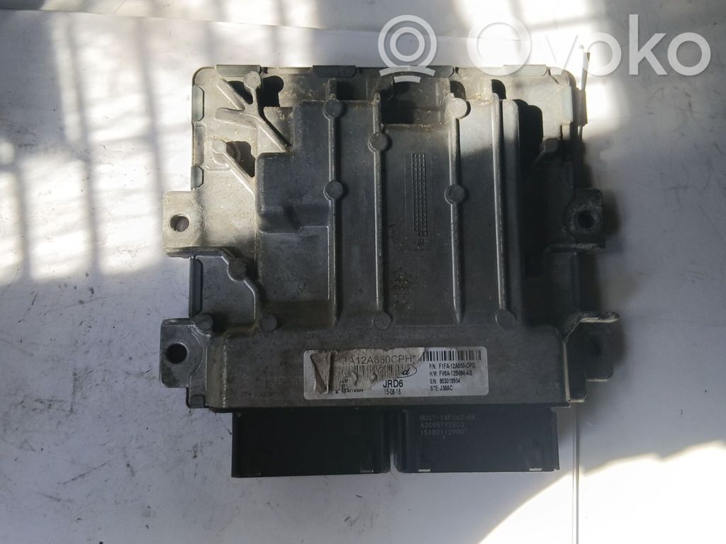 Sterownik / Moduł ECU   A2C95192200,853018954,F1FA12A650CPG