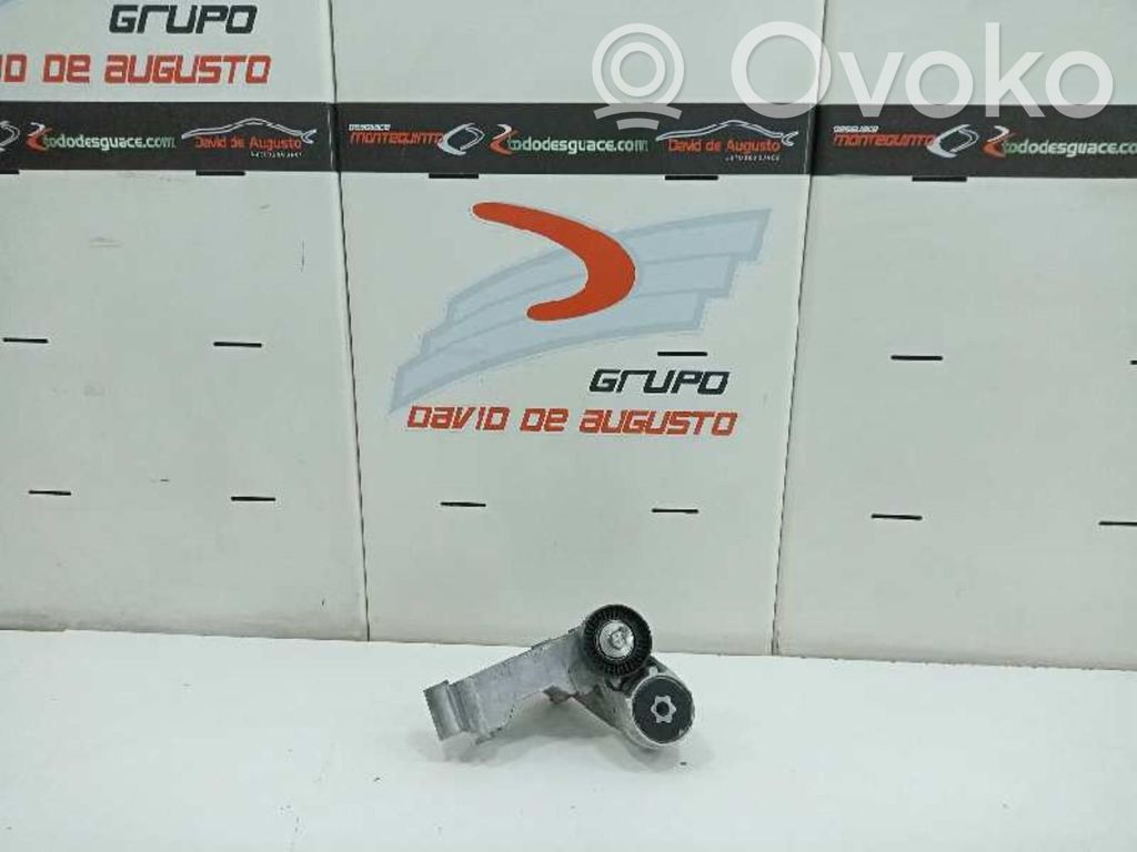 Ford Focus Întinzător curea generator/alternator 