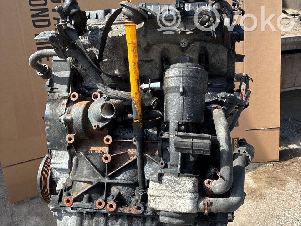 Volkswagen Golf V Motor 