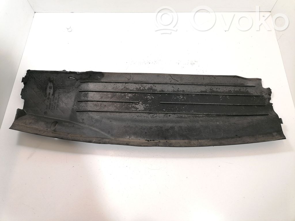 Osłona chłodnicy   51717011218