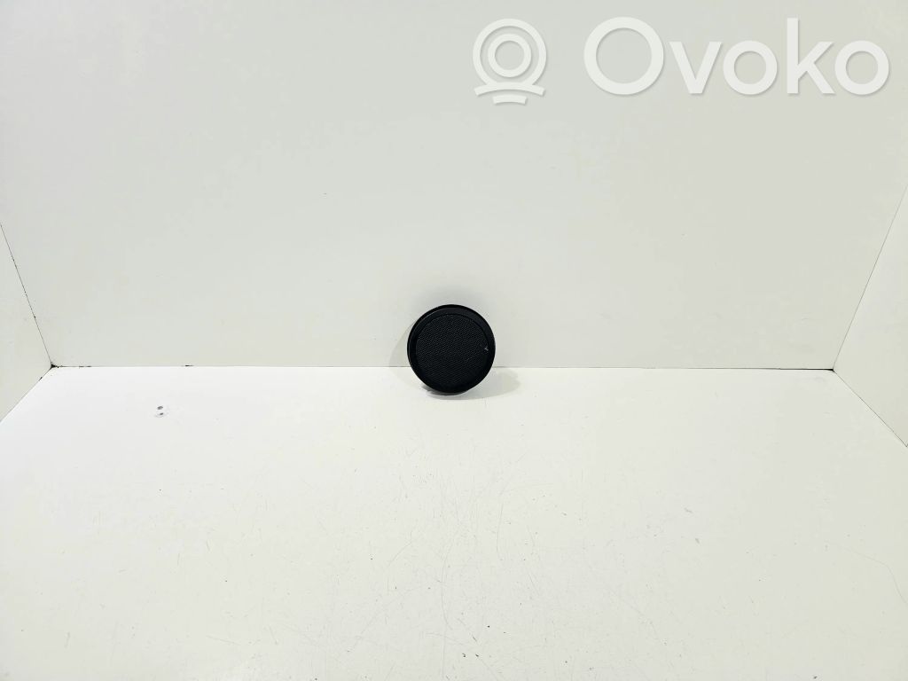 Panel speaker   619289