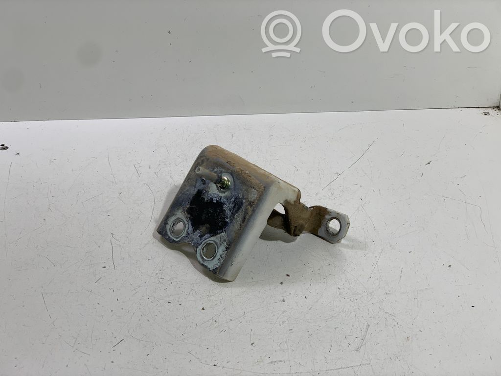 Renault Koleos I Rear door lower hinge 