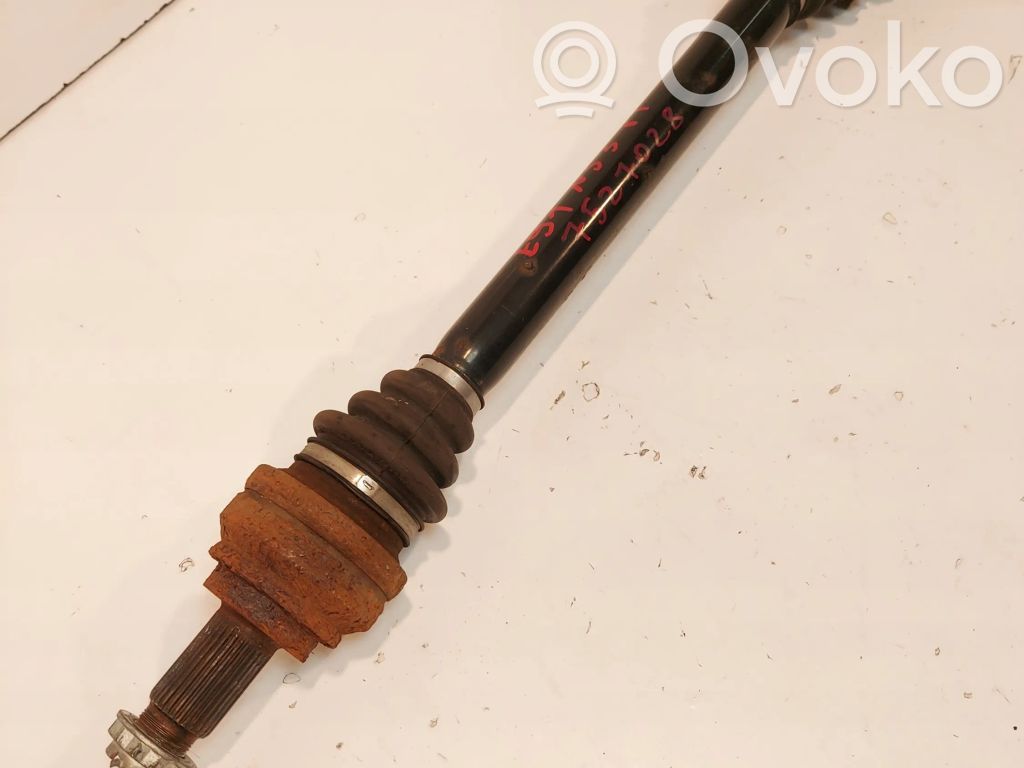 Galinis pusašis   7527028