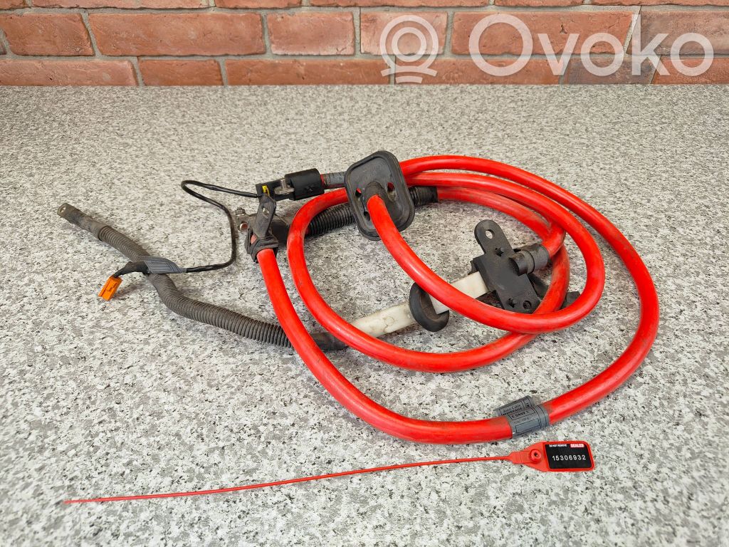 Plusa vads (akumulatora)   2248776