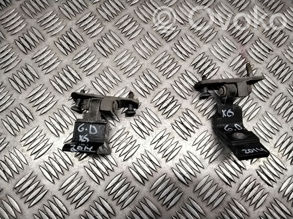 BMW X6 E71 Rear door hinge set 