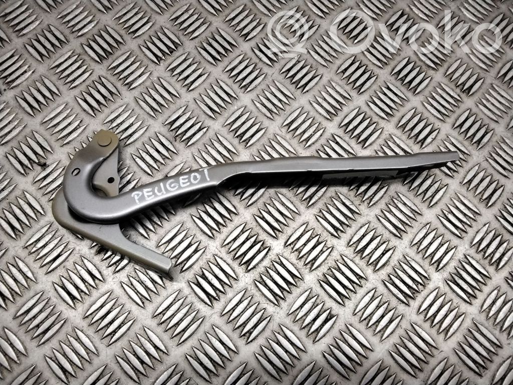 Peugeot Partner III Engine bonnet/hood hinges 