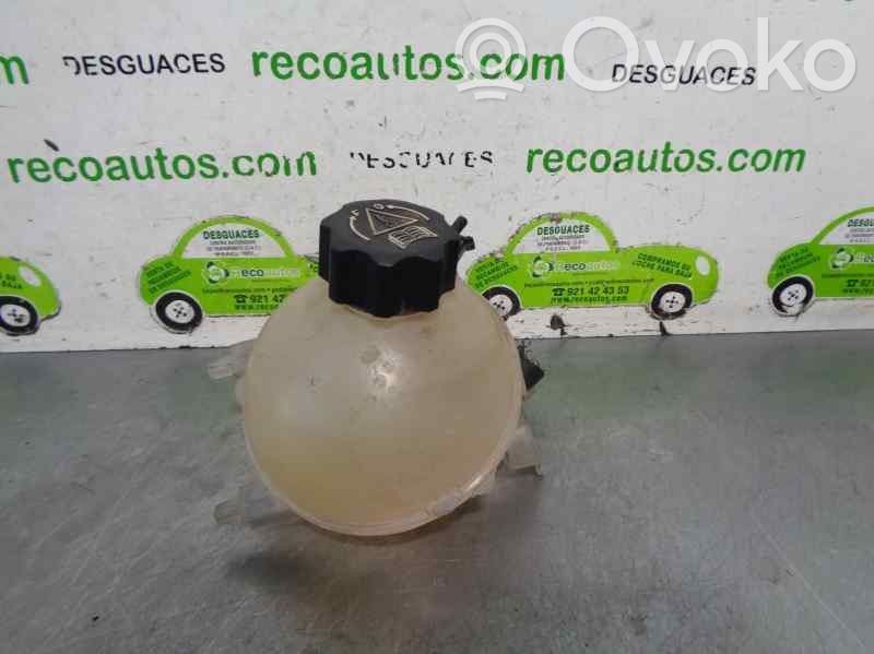 Citroen Berlingo Fuel expansion tank 