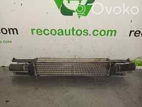 Fiat Linea Intercooler radiator 