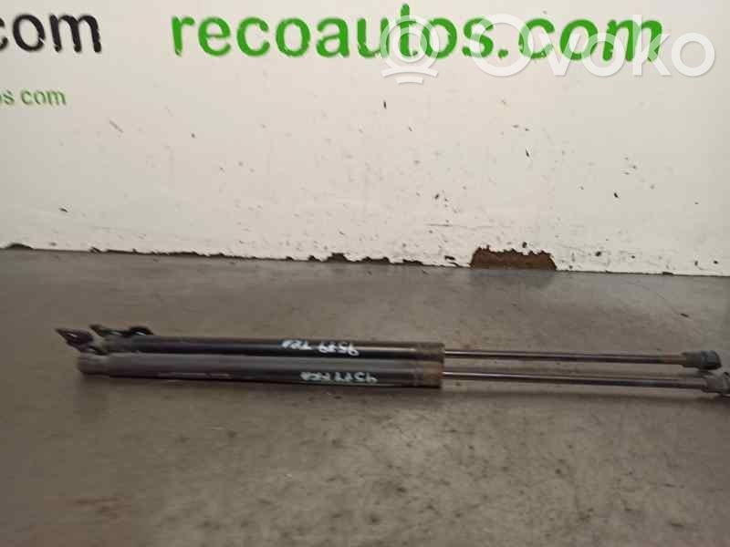 Chevrolet Nubira Tailgate/trunk strut/damper 