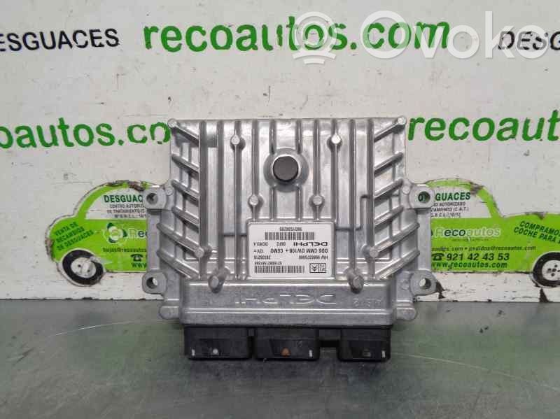Engine control unit/module   9666375980,28335216,DELPHI