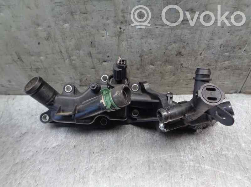 Termostato   110606217R