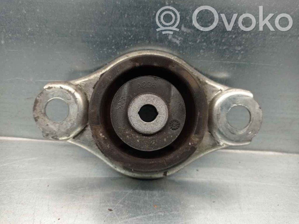 Ford Ka Dzinēja spilvens 