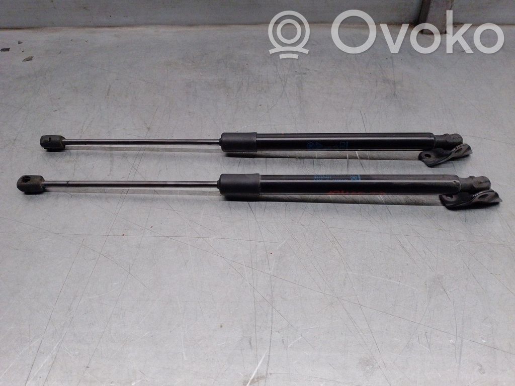 Citroen C3 Amortiguador/puntal del maletero/compartimento de carga 