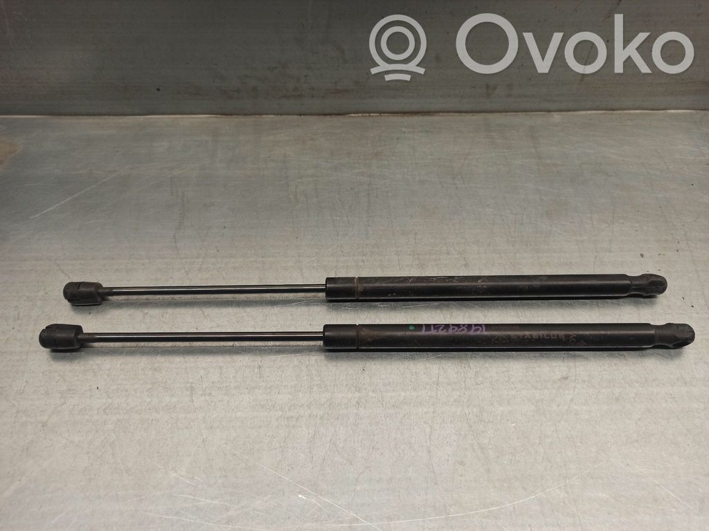 Dodge Caliber Tailgate/trunk strut/damper 