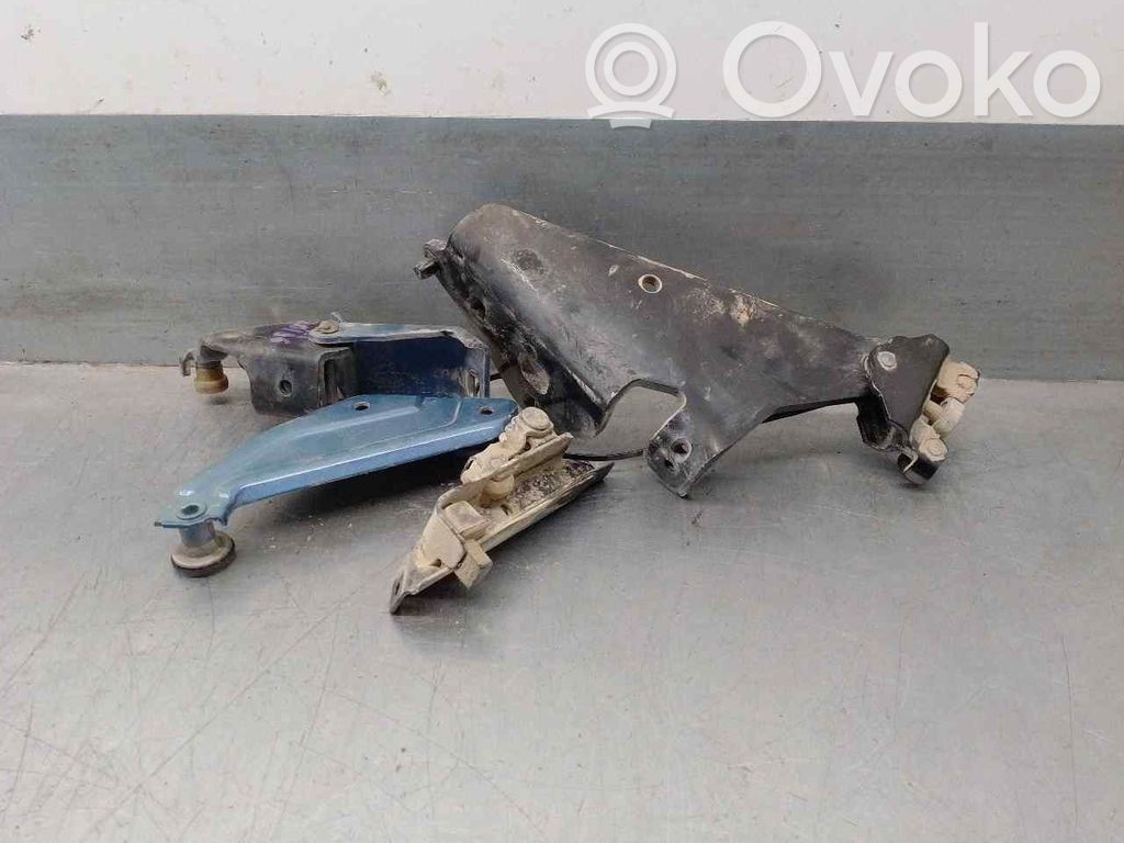 Renault Kangoo II Tailgate/trunk/boot hinge 