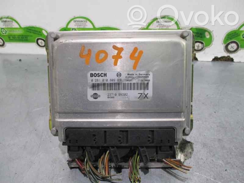 Nissan Almera N16 Engine control unit/module 