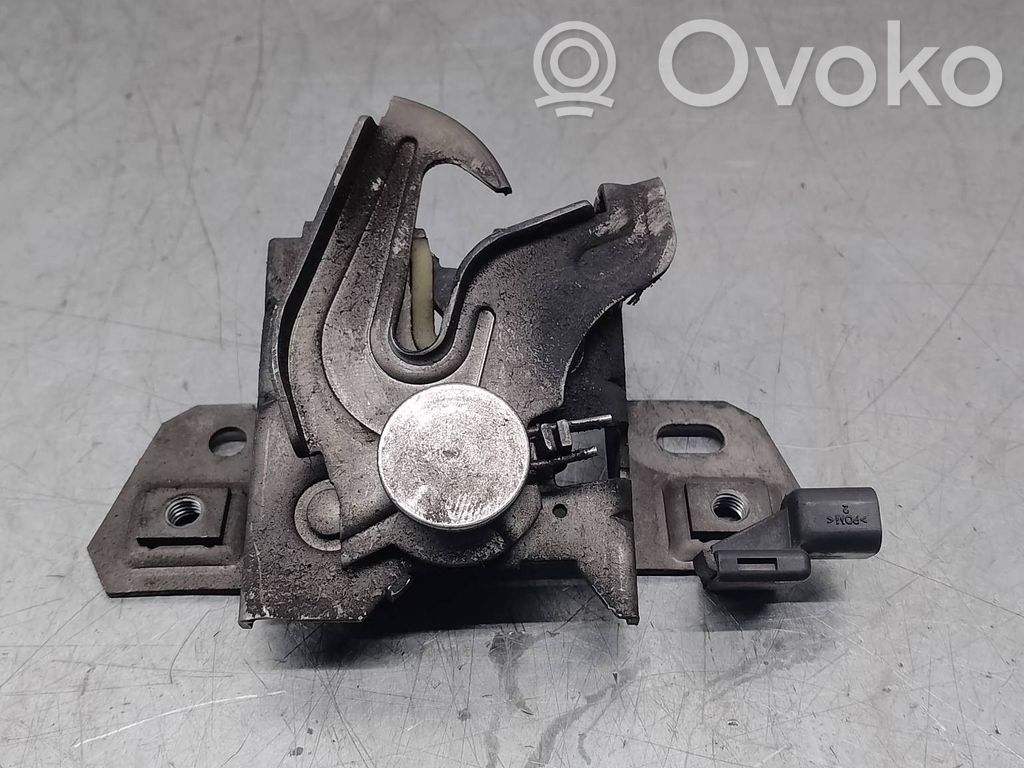 Tie down hook / loop   30716529