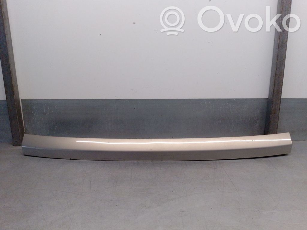 Manecilla externa puerta trasera   24423650