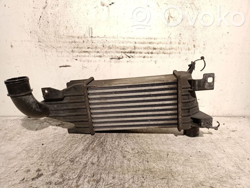 Radiador intercooler   13128926,931790396302058