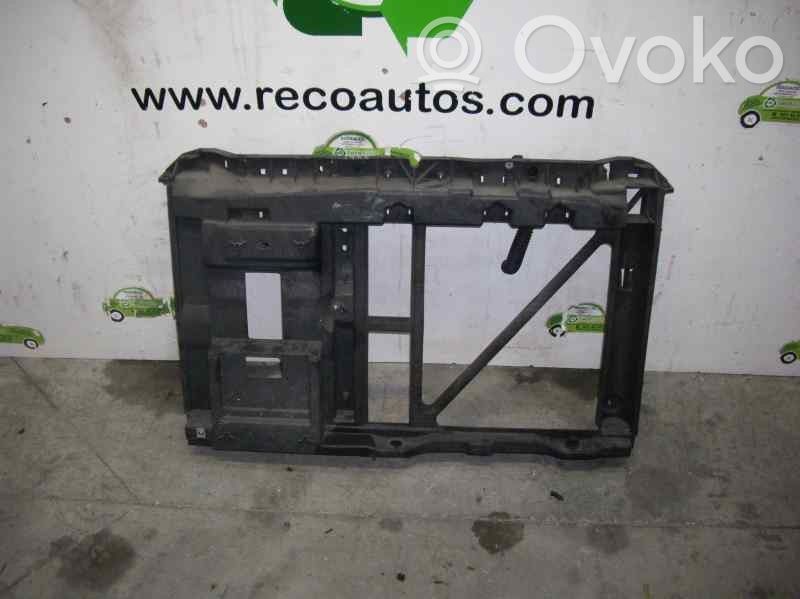 Peugeot 1007 Front grill 