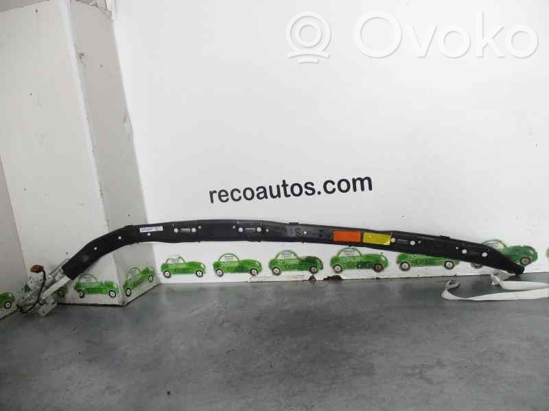 Poduszka powietrzna Airbag drzwi przednich   517384000,30322008C,TRW