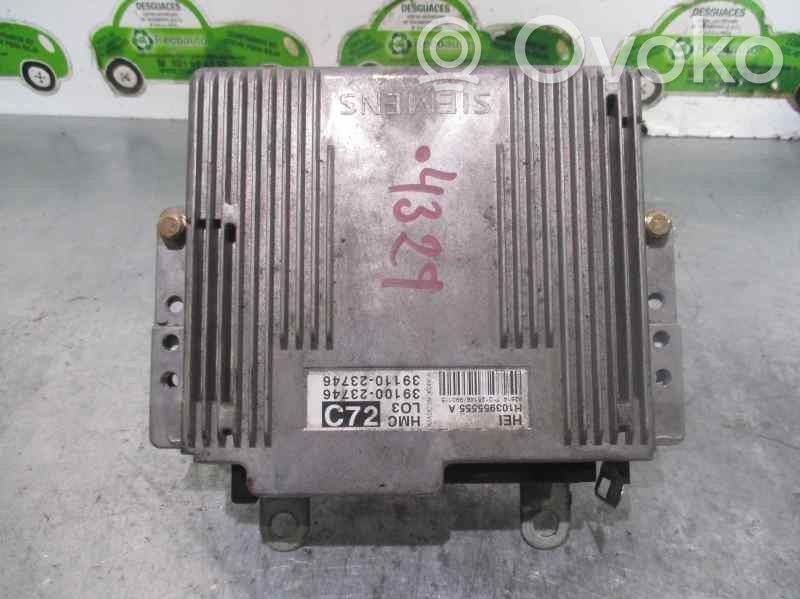 Hyundai Lantra II Engine control unit/module 