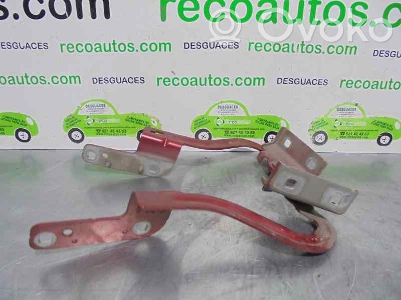 Bisagras del capó/tapa del motor