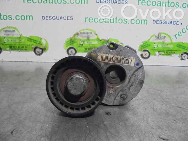 BMW 1 E81 E87 Tendicinghia generatore/alternatore 